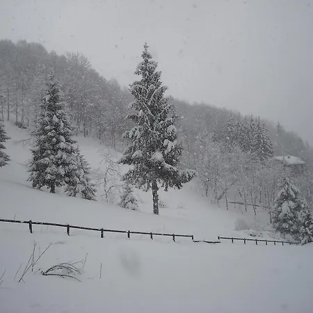 Frühstückspension Casabasoti Valli del Pasubio