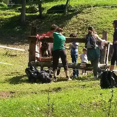Frühstückspension Casabasoti 3*
