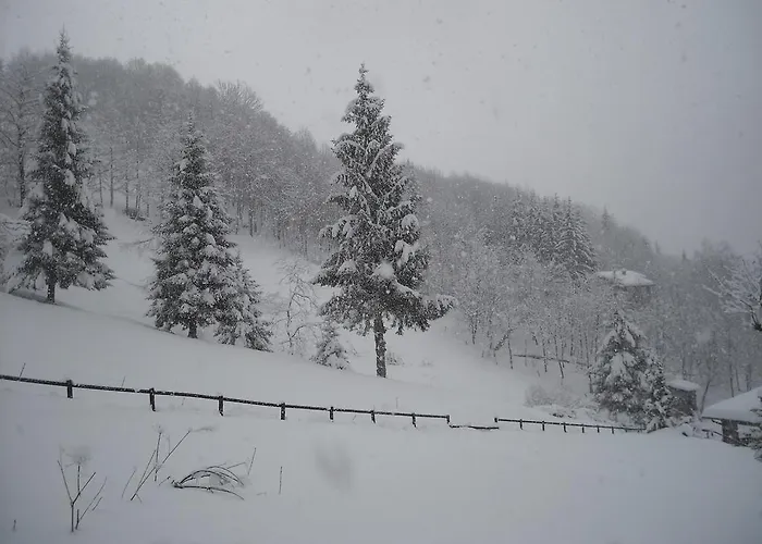 Bed and Breakfast Casabasoti Valli del Pasubio